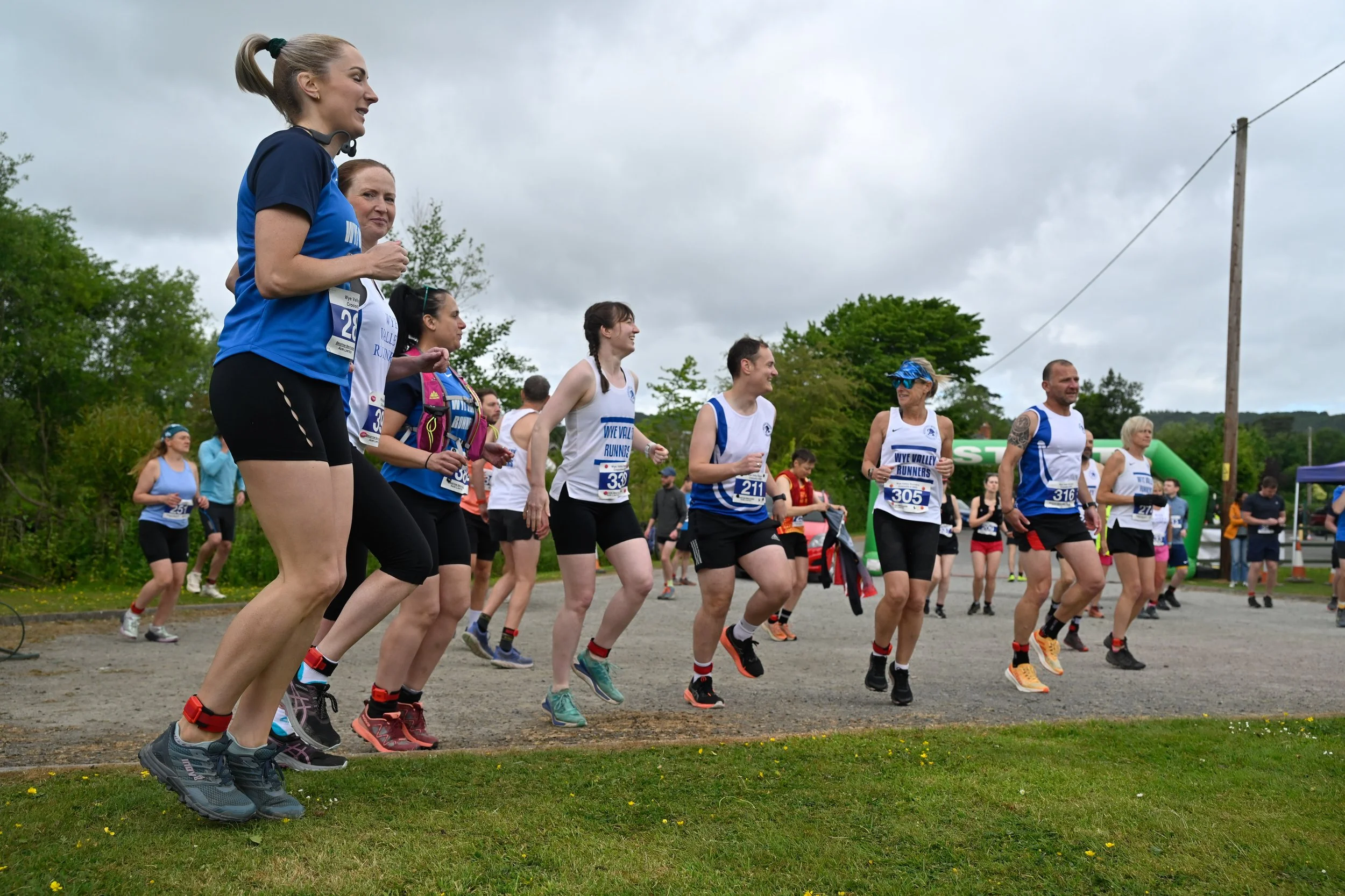 CROCODILE 8 25-388.jpg