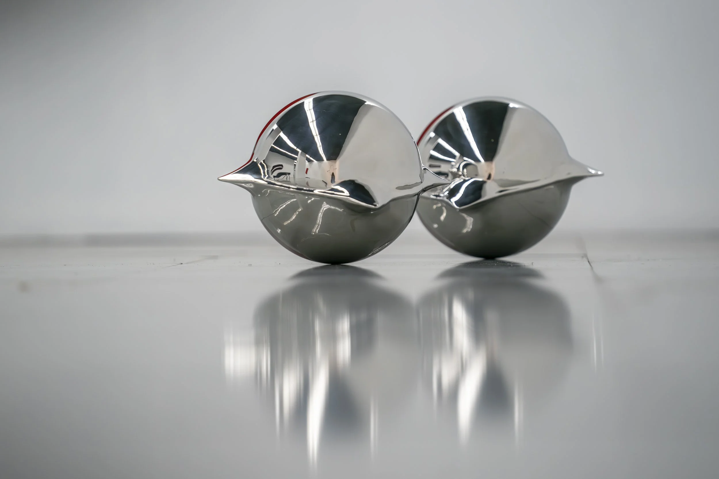 CICATRIZ 2023 | 2024