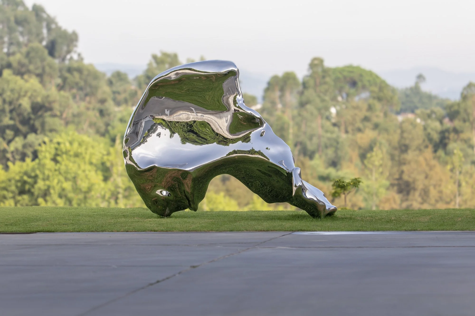 DST GROUP CONTEMPORARY ART COLLECTION 2025