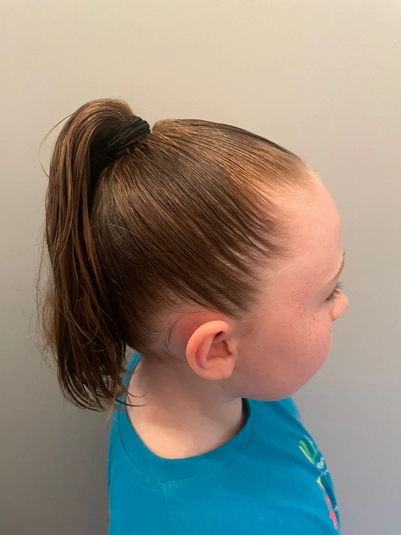 High Ponytail