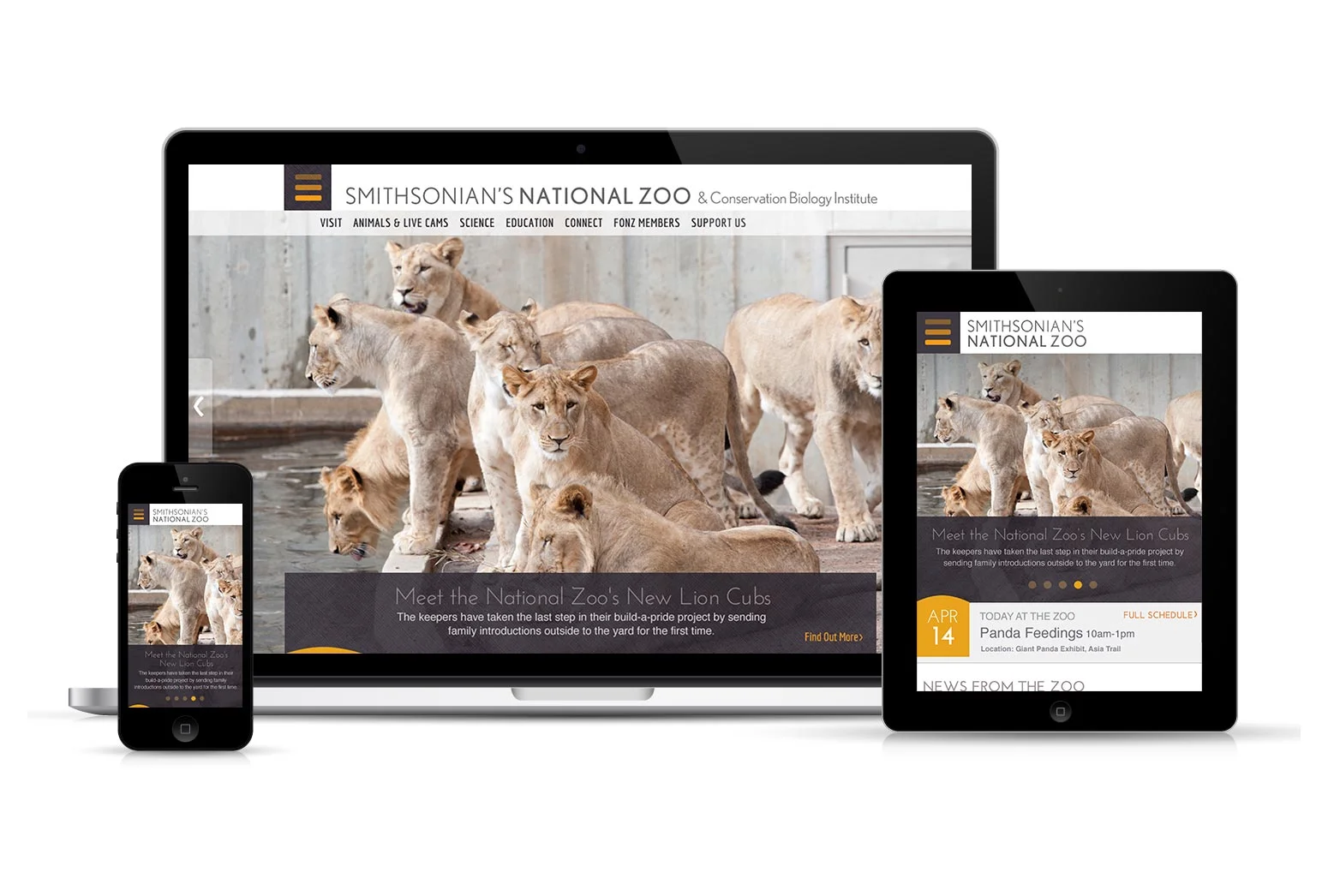 Responsive-6.jpg