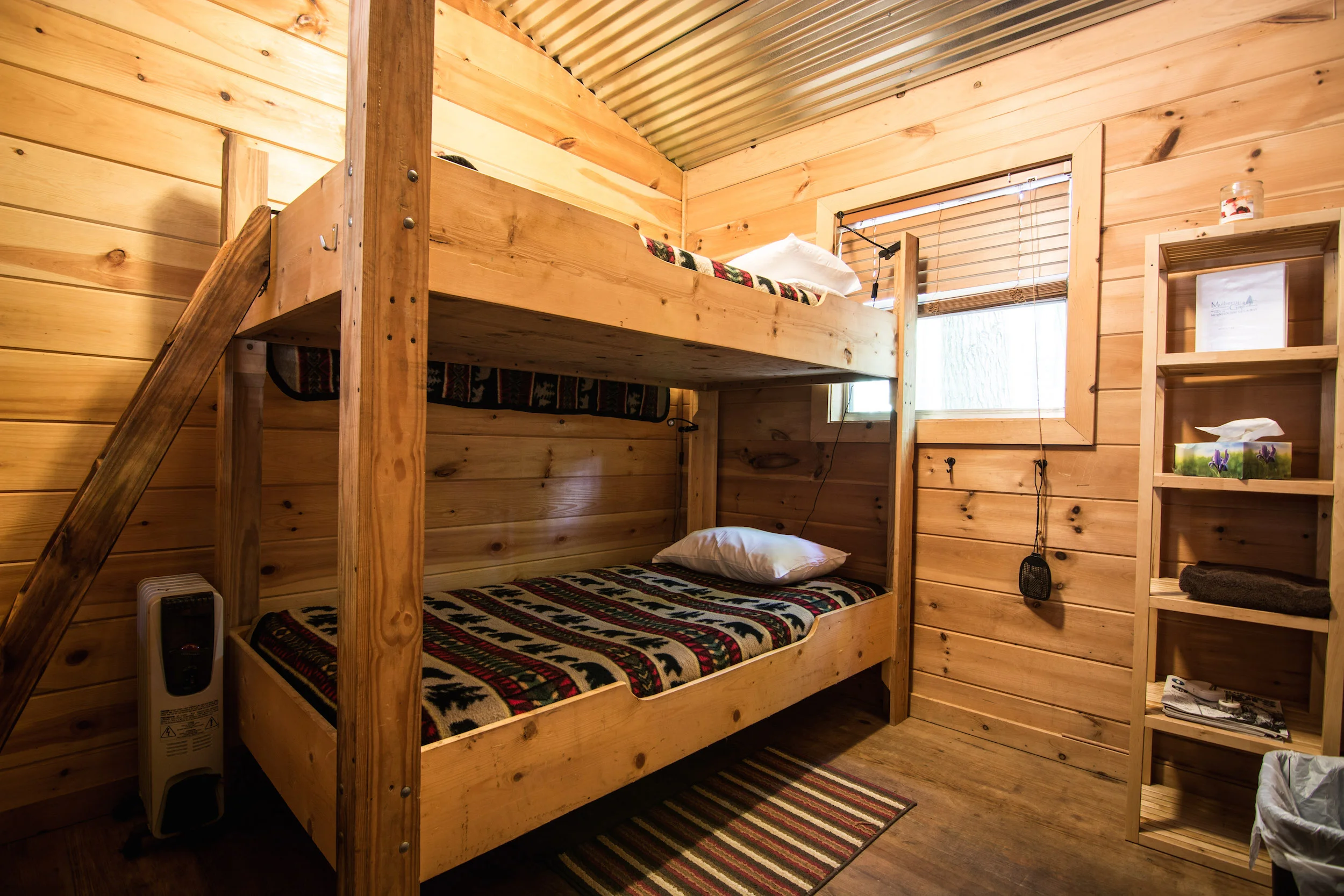 KearnsT-3977 smaller.jpeg