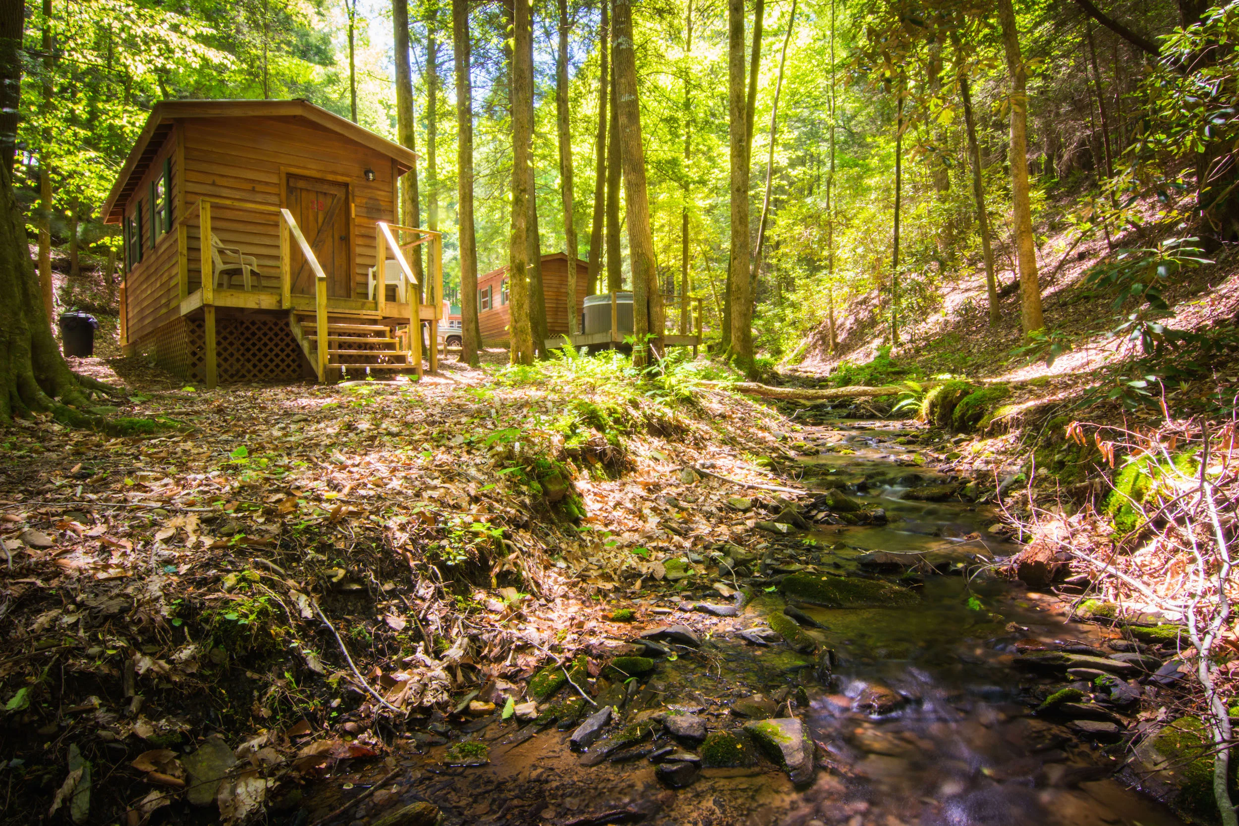 KearnsT-4027 smaller.jpeg