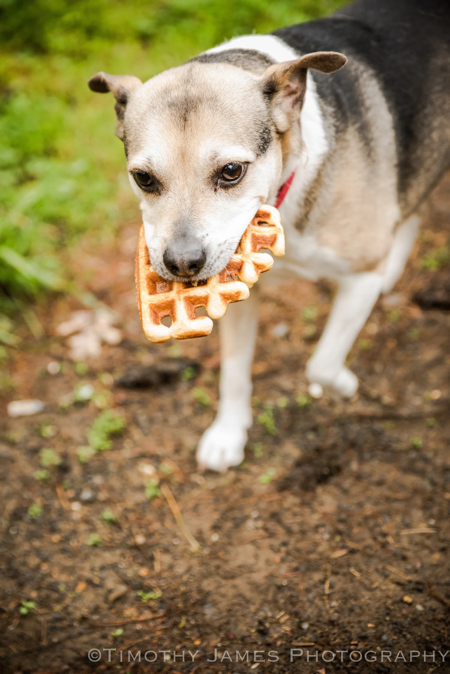 Kearns-TJ-2459 small.jpeg