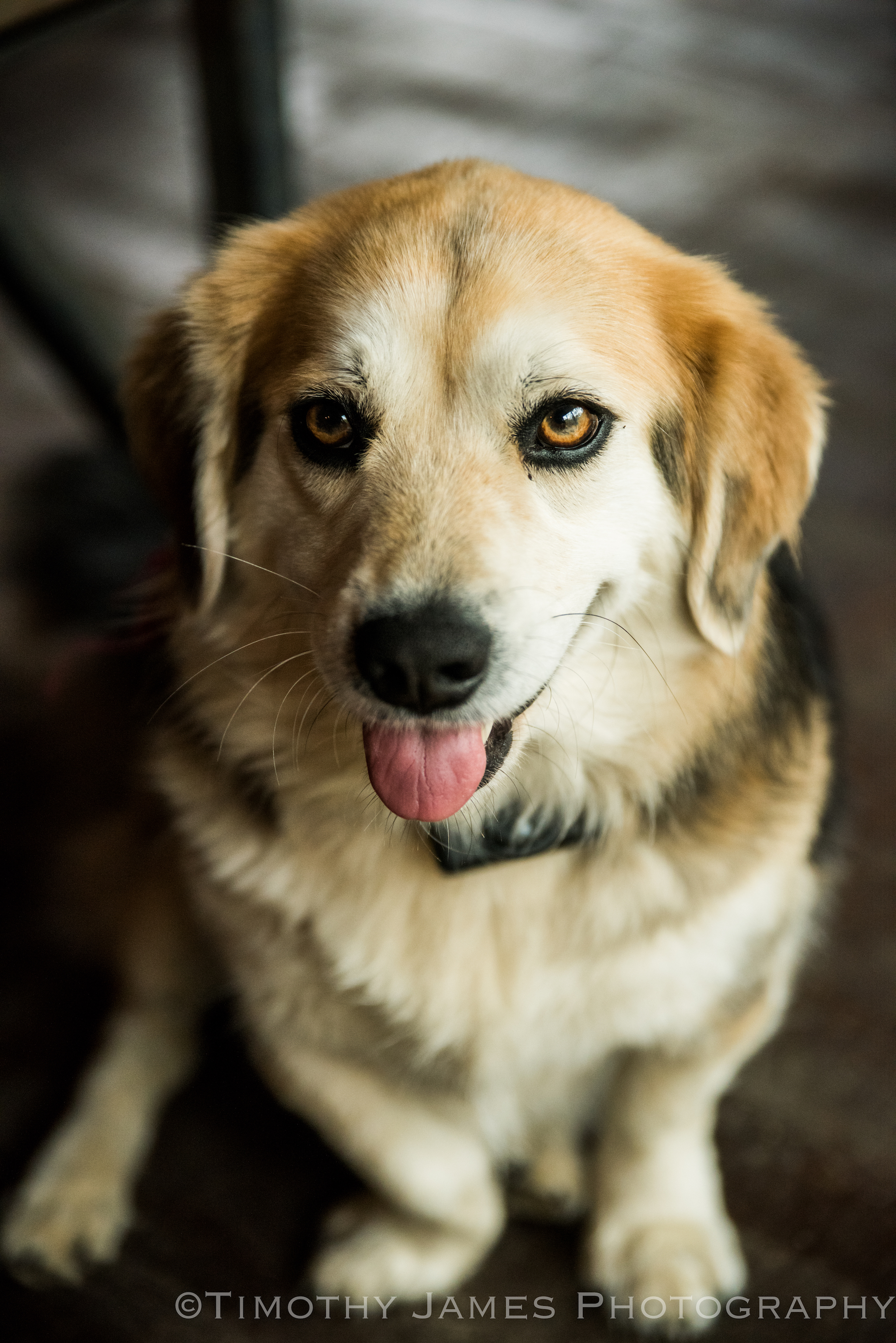 Kearns-TJ-2440 small.jpeg