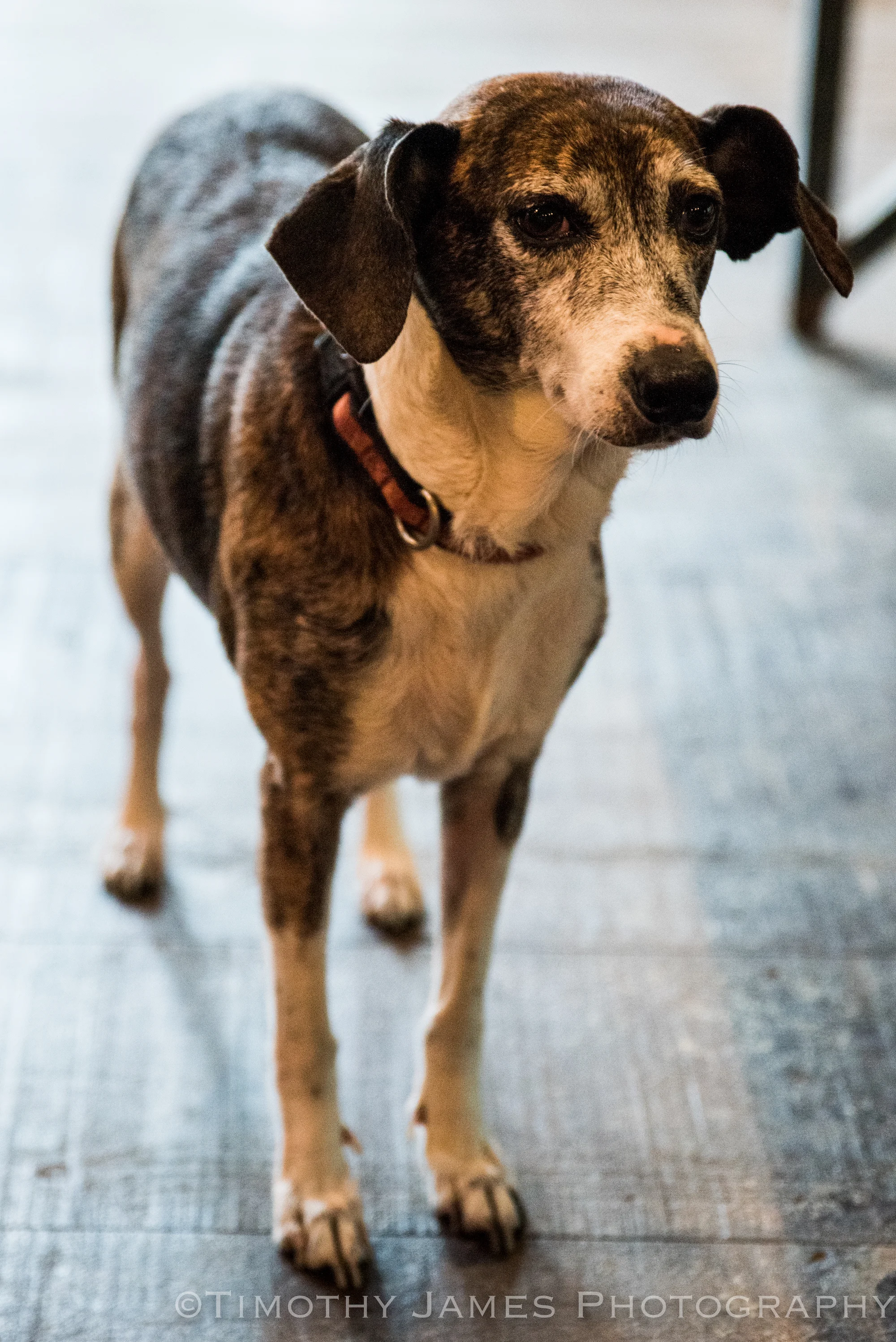 Kearns-TJ-2445 small.jpeg