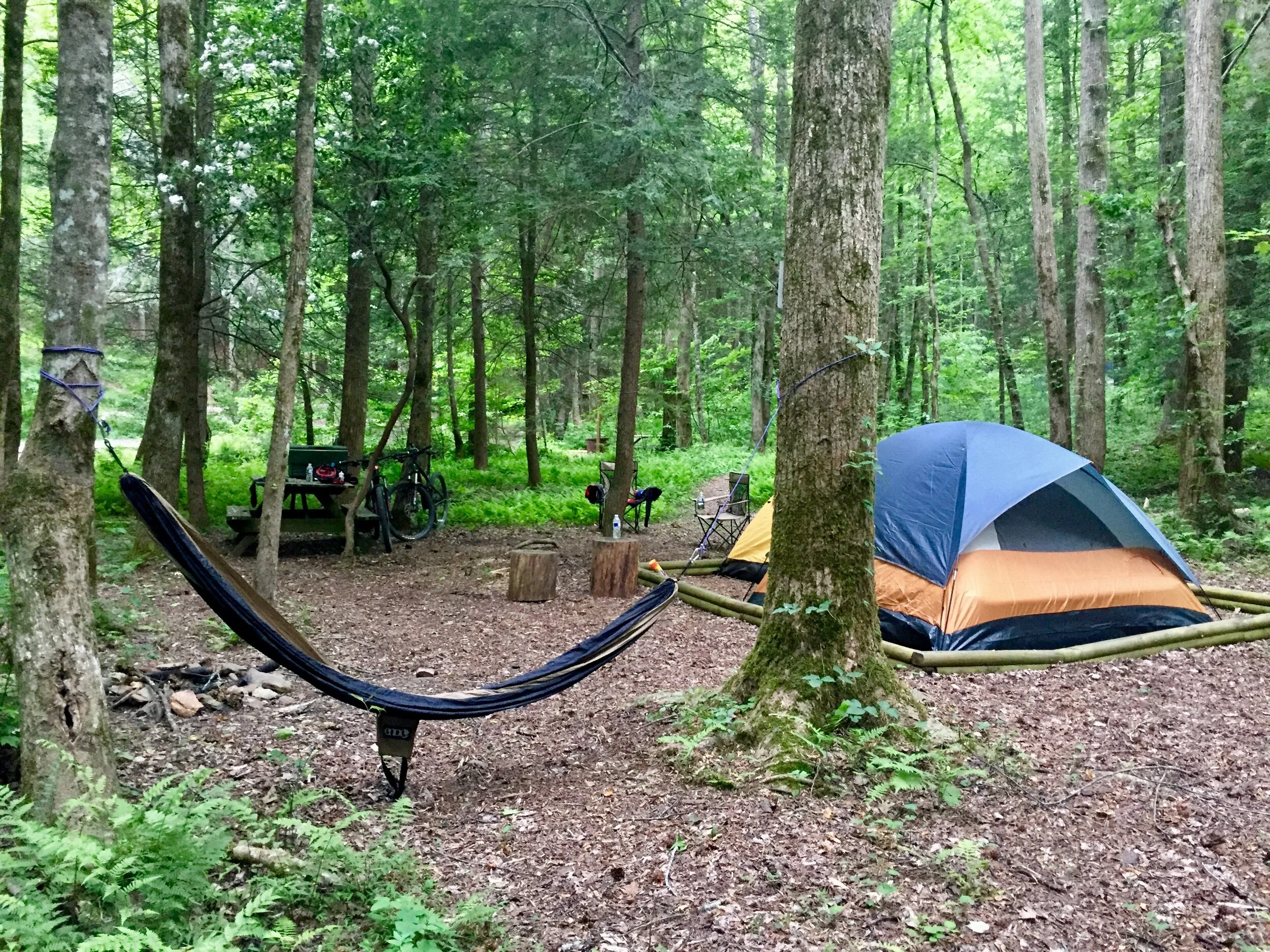 Discover Your Perfect Campsite Choose Your Pad in the Heart of Nature