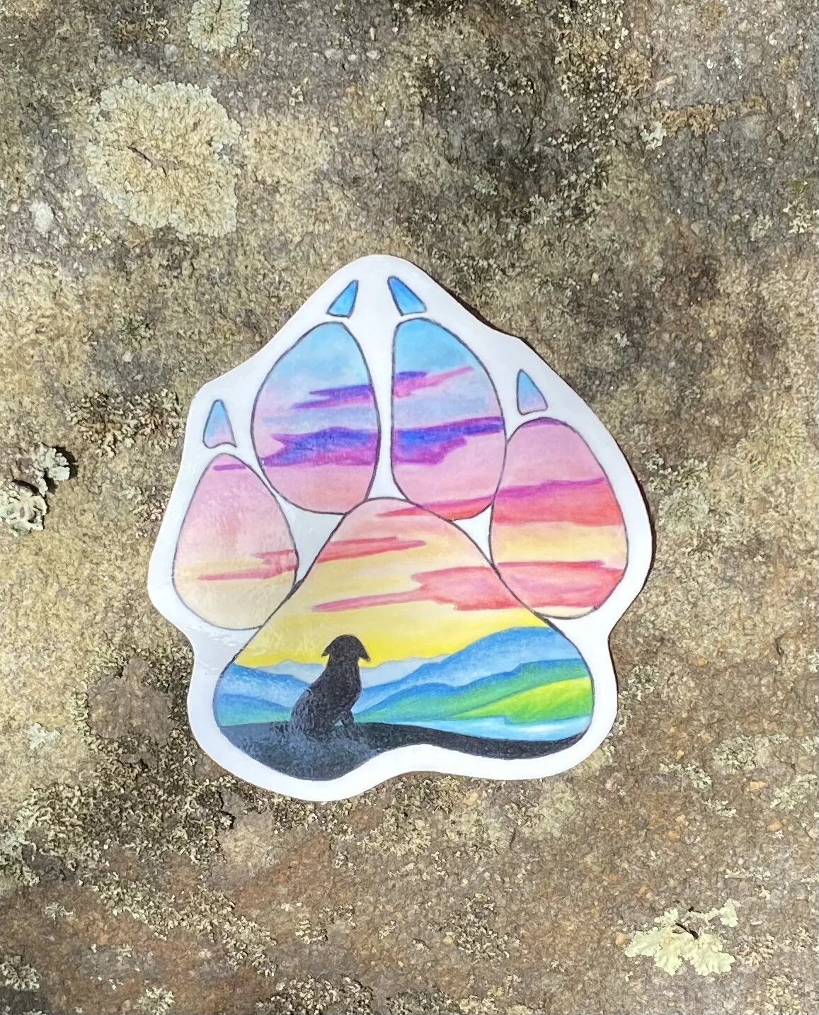 0058B259-444A-489A-B9E8-4F231C911136