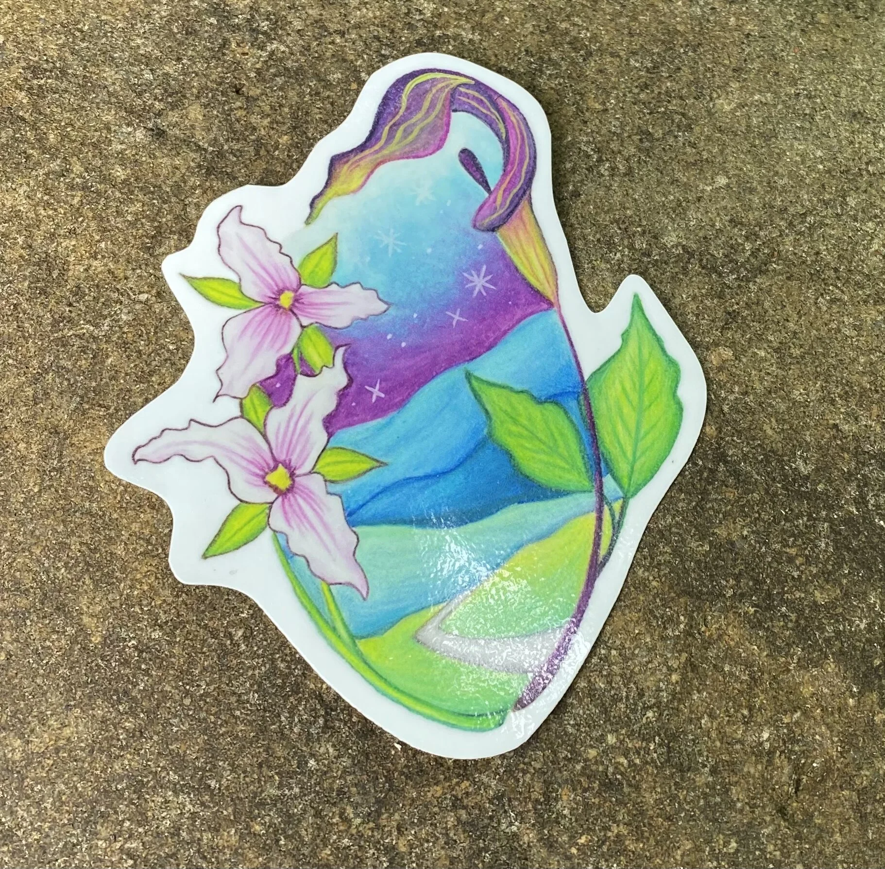 D2F00C4D-8ED3-4EB8-9970-F441D751F4CF