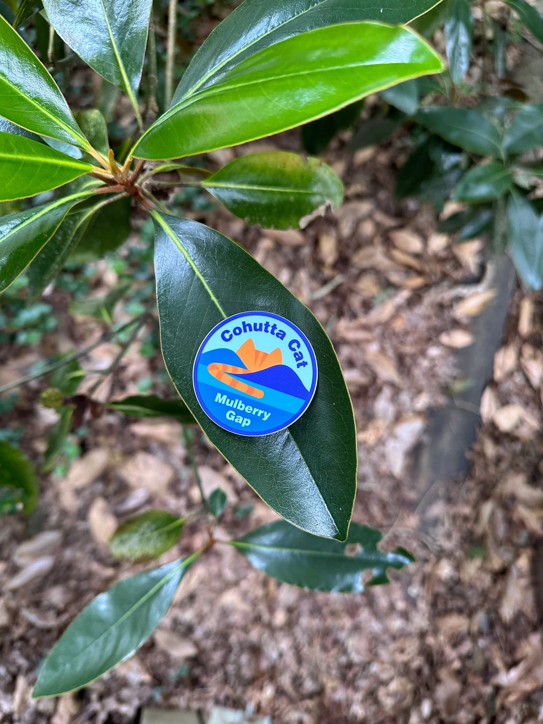 A02D440F-9771-461E-8CEB-EC9A64D7968B