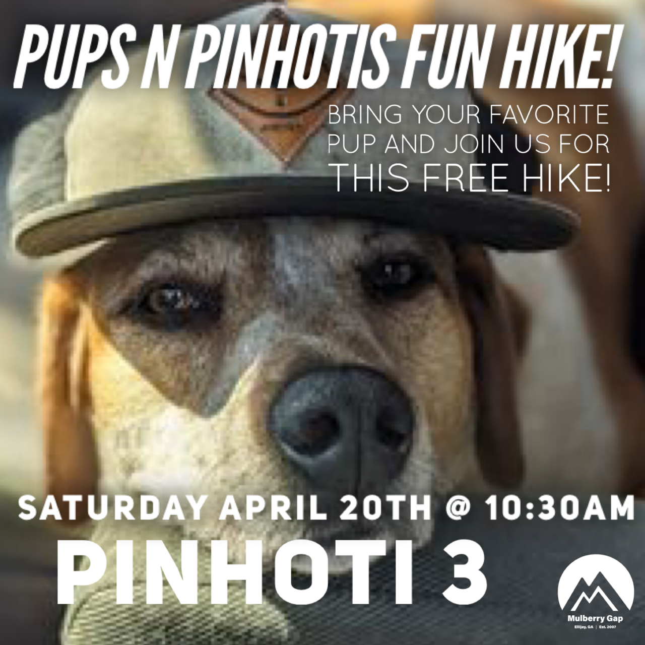 FREE Group Dogwalk Hike: Pups &amp; Pinhotis - Pinhoti 3 (April 20, 2024)