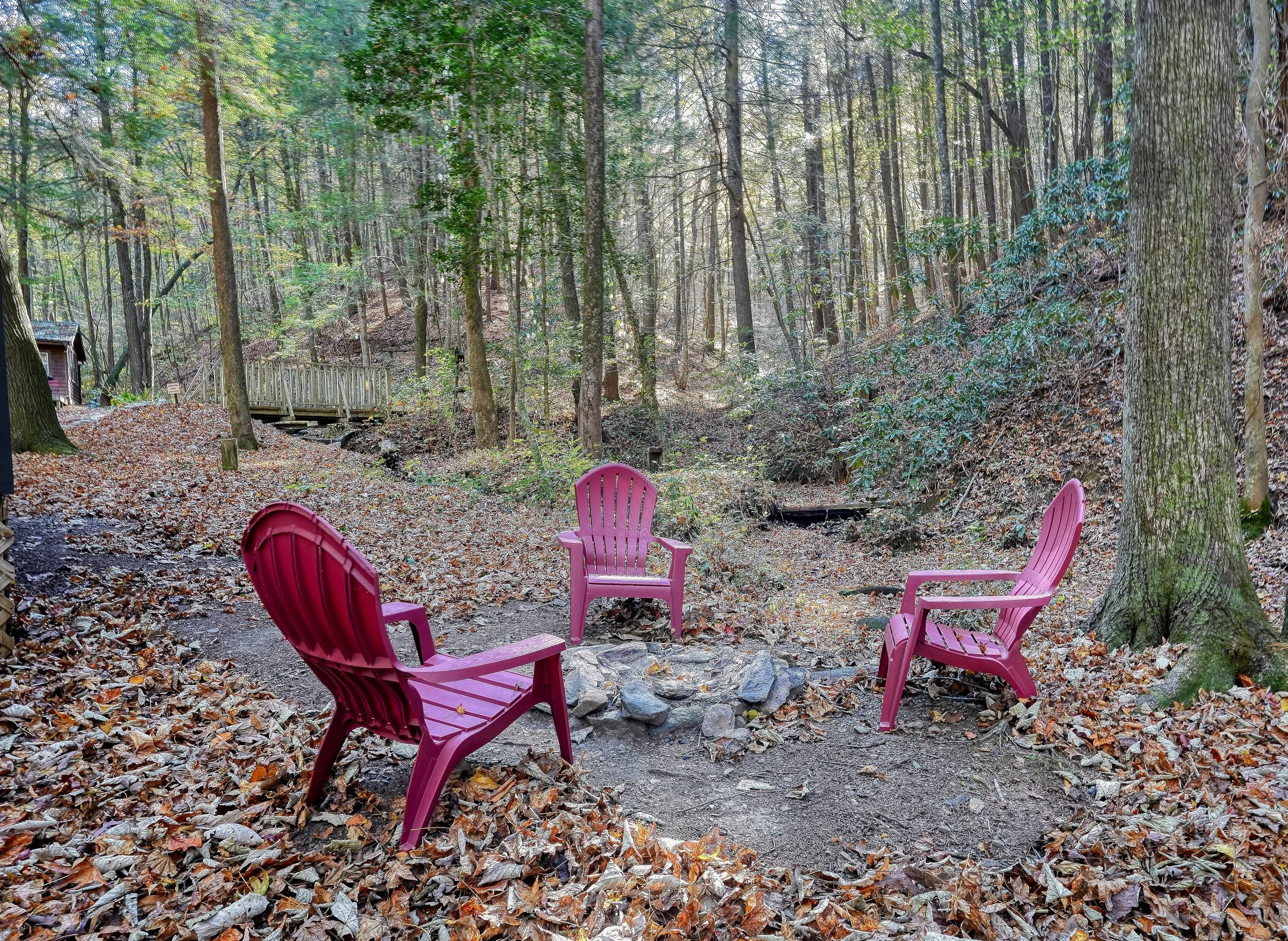 Trail's End Fire Pit Greg Goad.JPEG