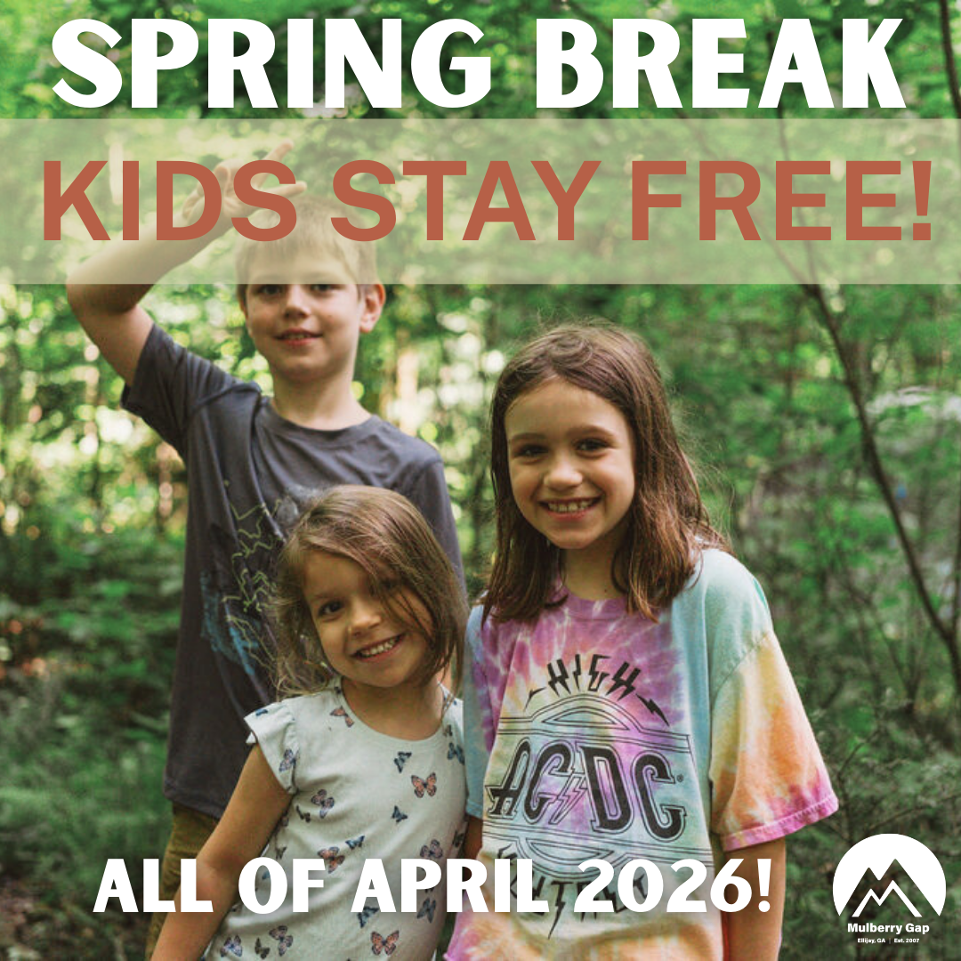 2026 Spring Break Special