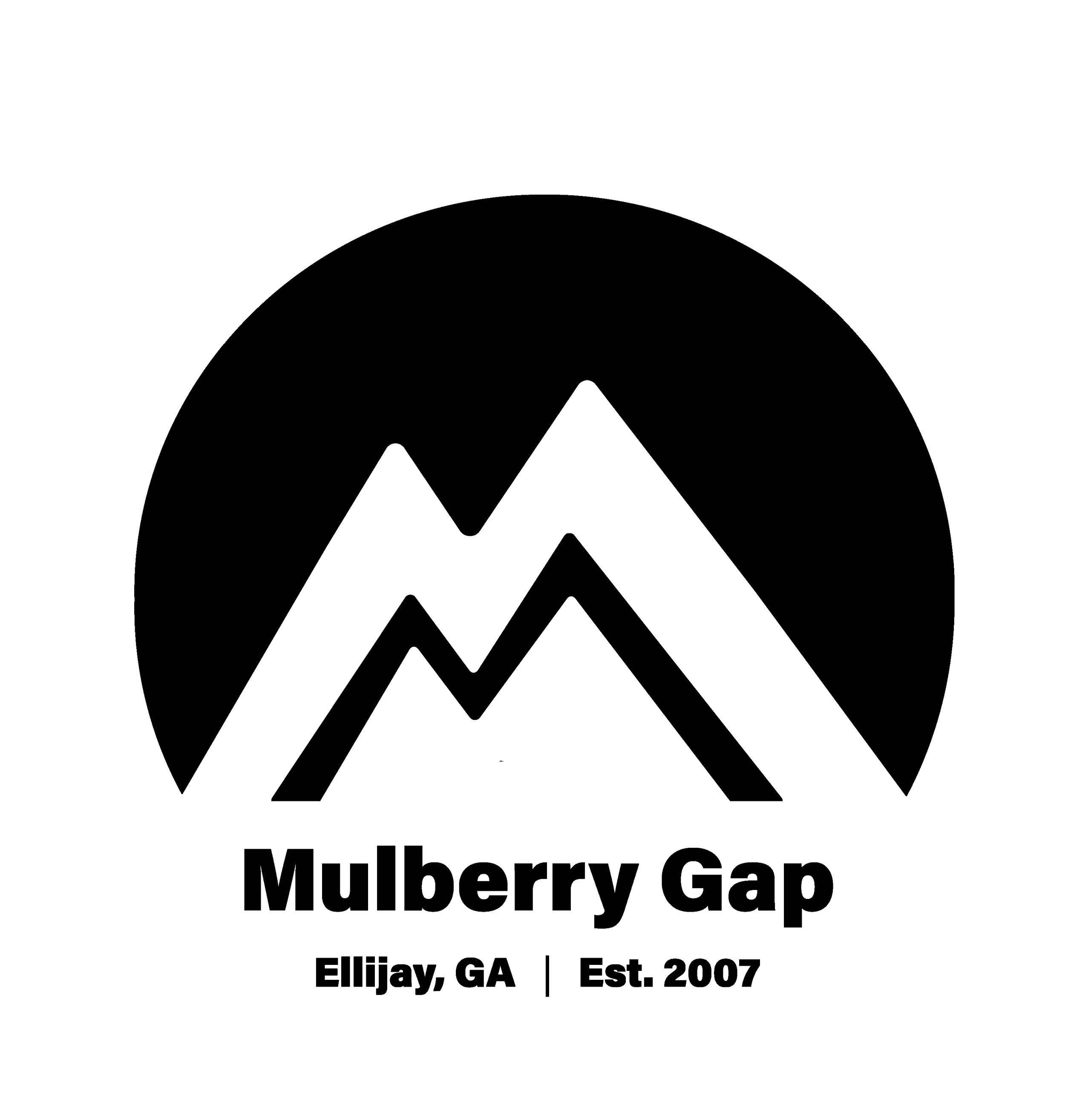 Black logo with no background (1).png