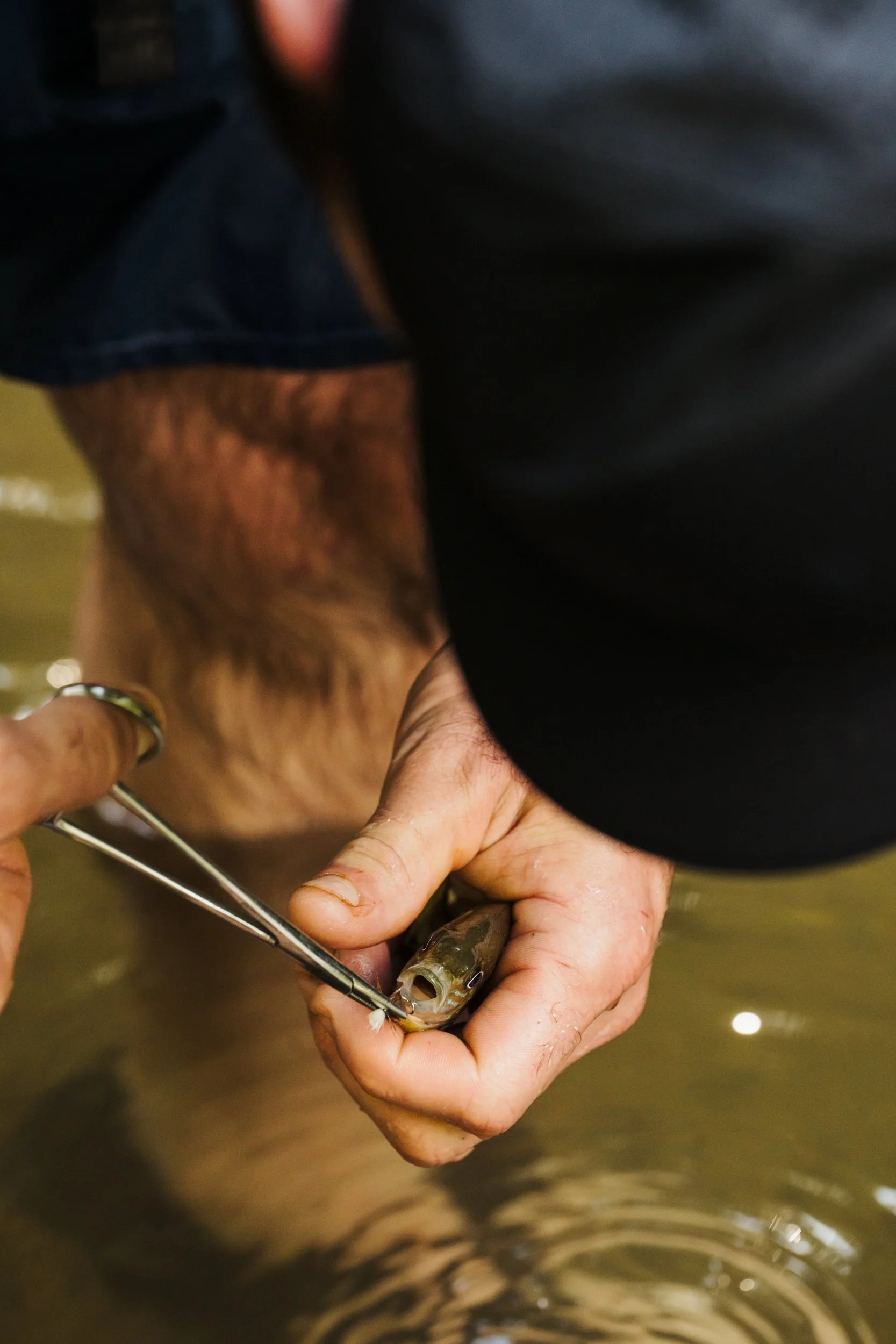 MulberryGap_Fishing-004.jpg