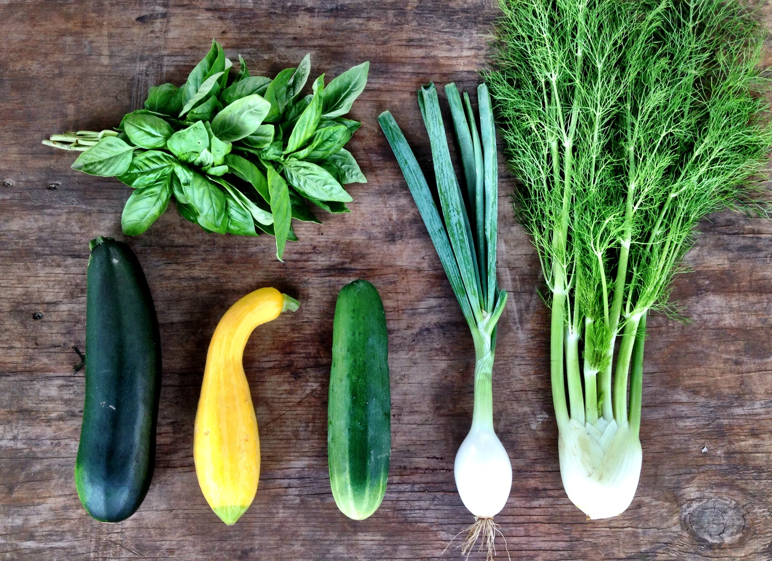 iphone vio june 362.JPG