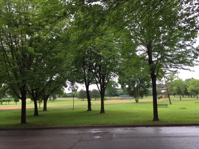 view.jpg