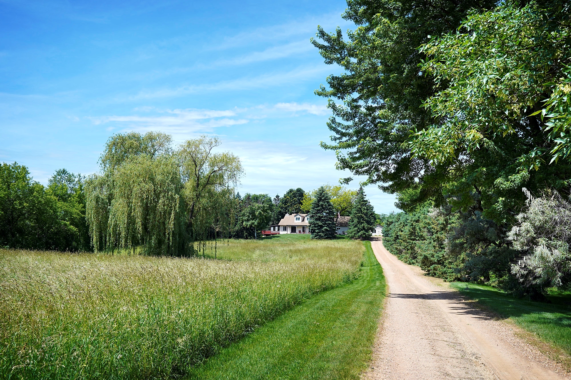 1 _DSC9852 copy copy.jpg