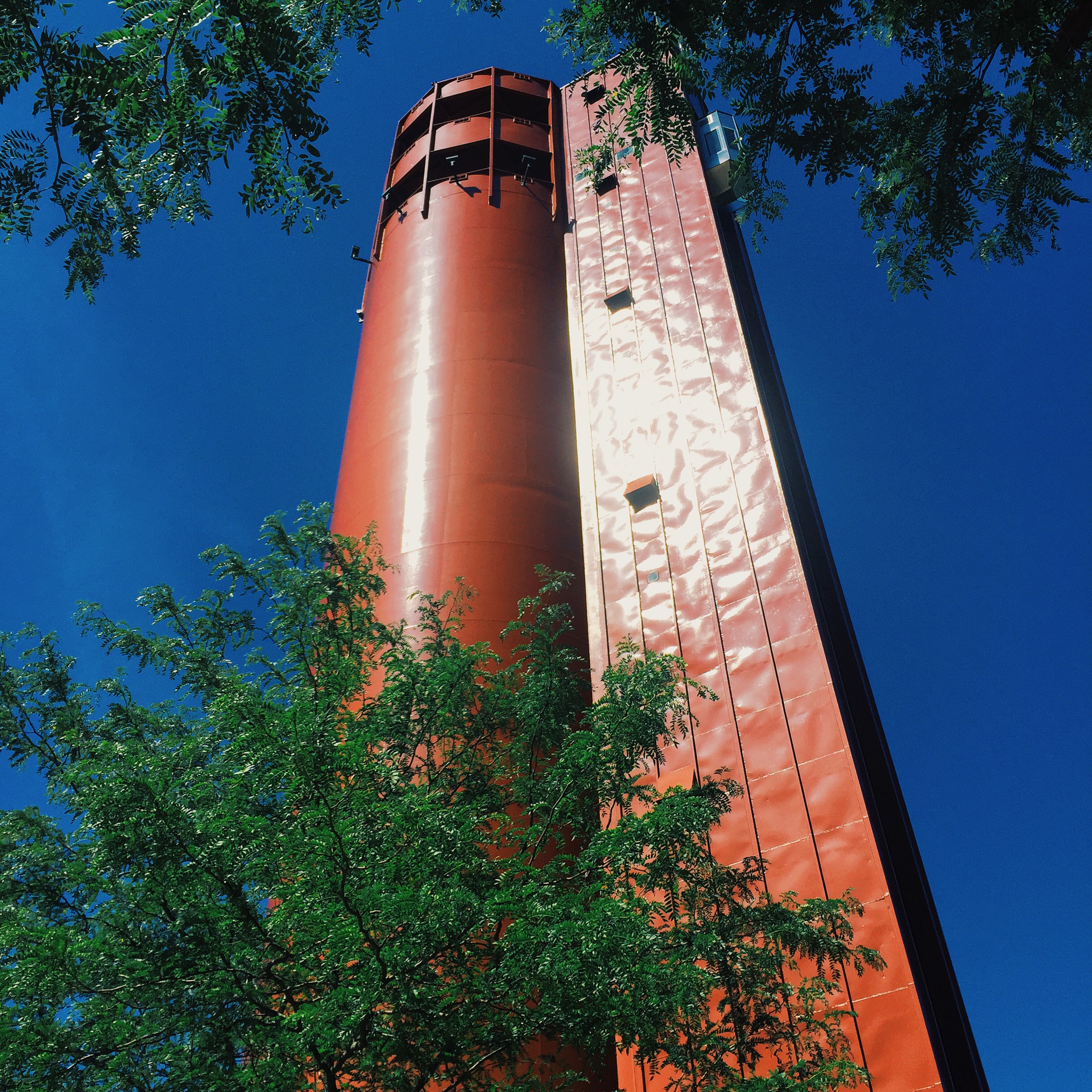 The Peoria Heights Observation Tower at Tower Hill Park. It's 200 feet up and boy, is it an adventure to take 11 children up to the top. 