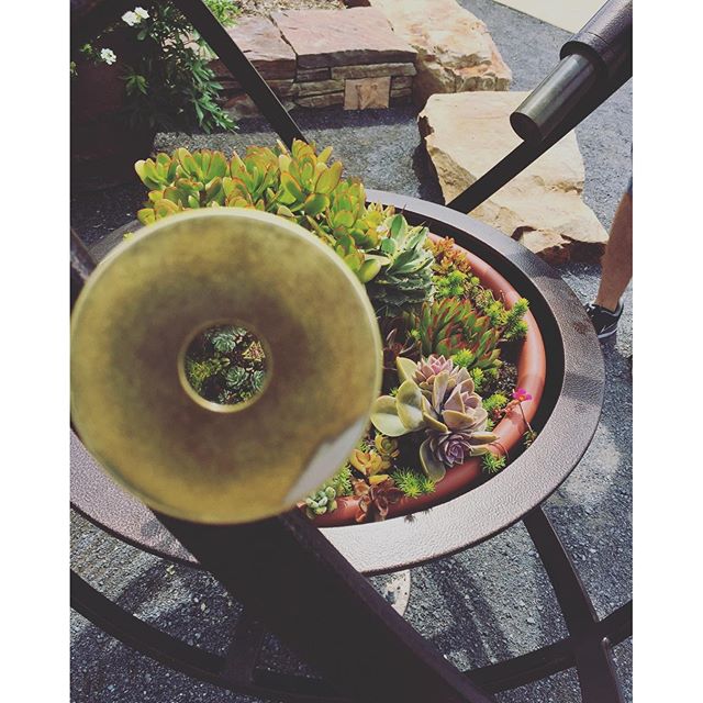 From the arboretum: a neat pot with kaleidoscopes to enhance looking at the plants.