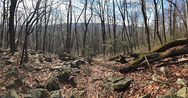 Felt good to be outside, exploring snowy paths and climbing lots of rocks.