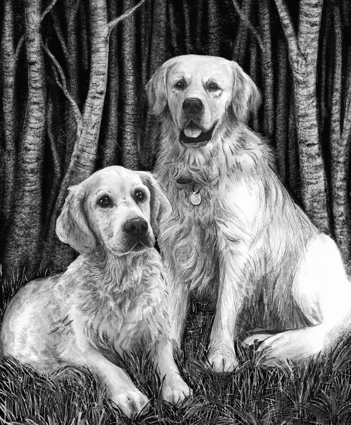 Completed this doggo portrait this week for a friend, I am no longer taking commissions as a rule but how could I have resisted these angels? 🦮🦮