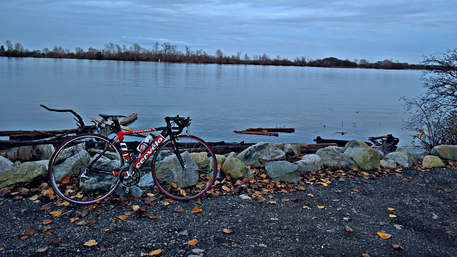 cervelo.png