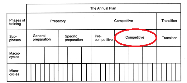 Periodization 202: Phases of Training — GC Performance Training