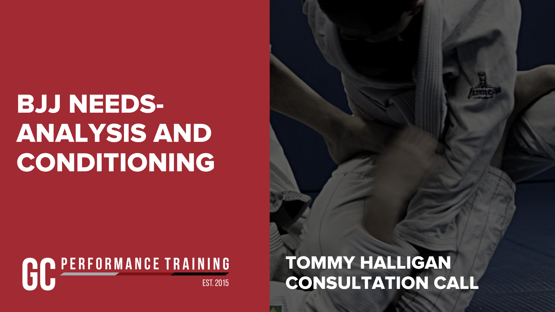 Tommy Halligan Consultation - BJJ & Conditioning Assignment.png