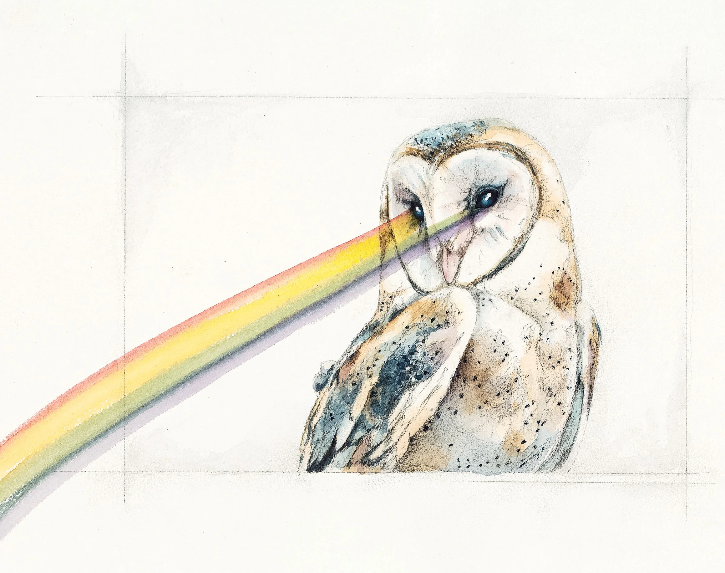 Barn-Owl.jpg