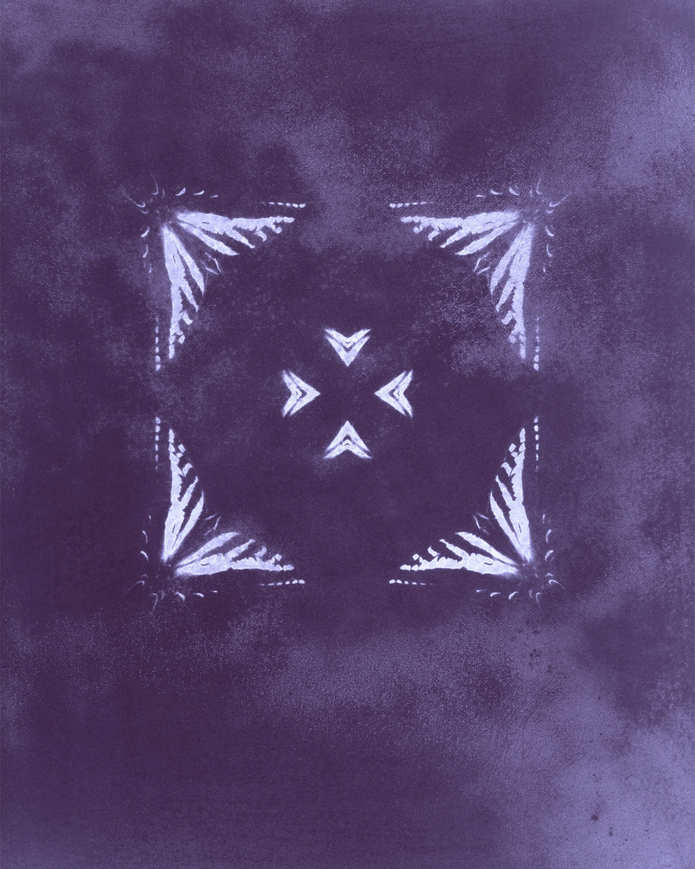 8x10 bs1 purple 300.jpg