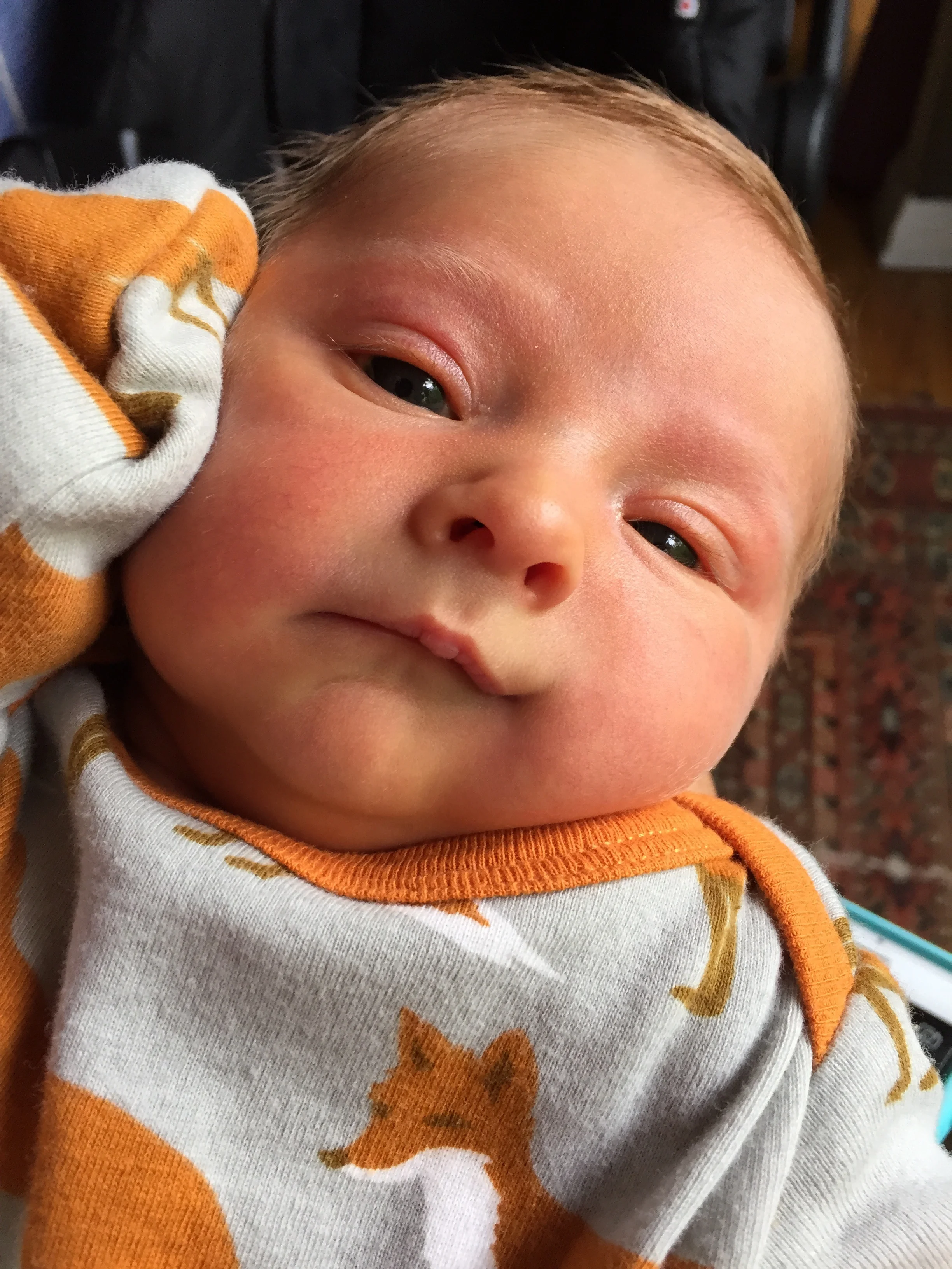 The Fox jumper is a hit!