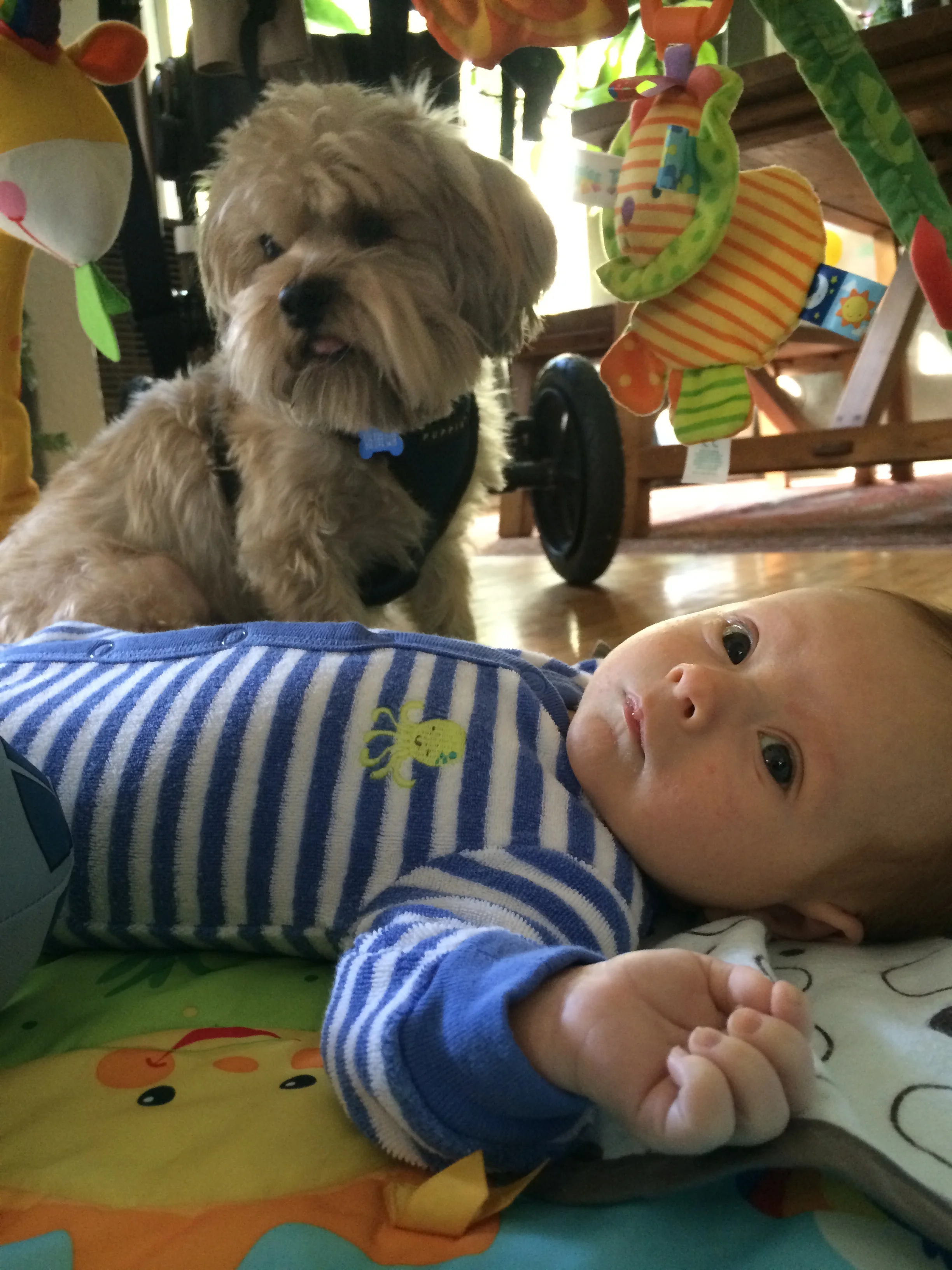 Henry is good company on the play mat
