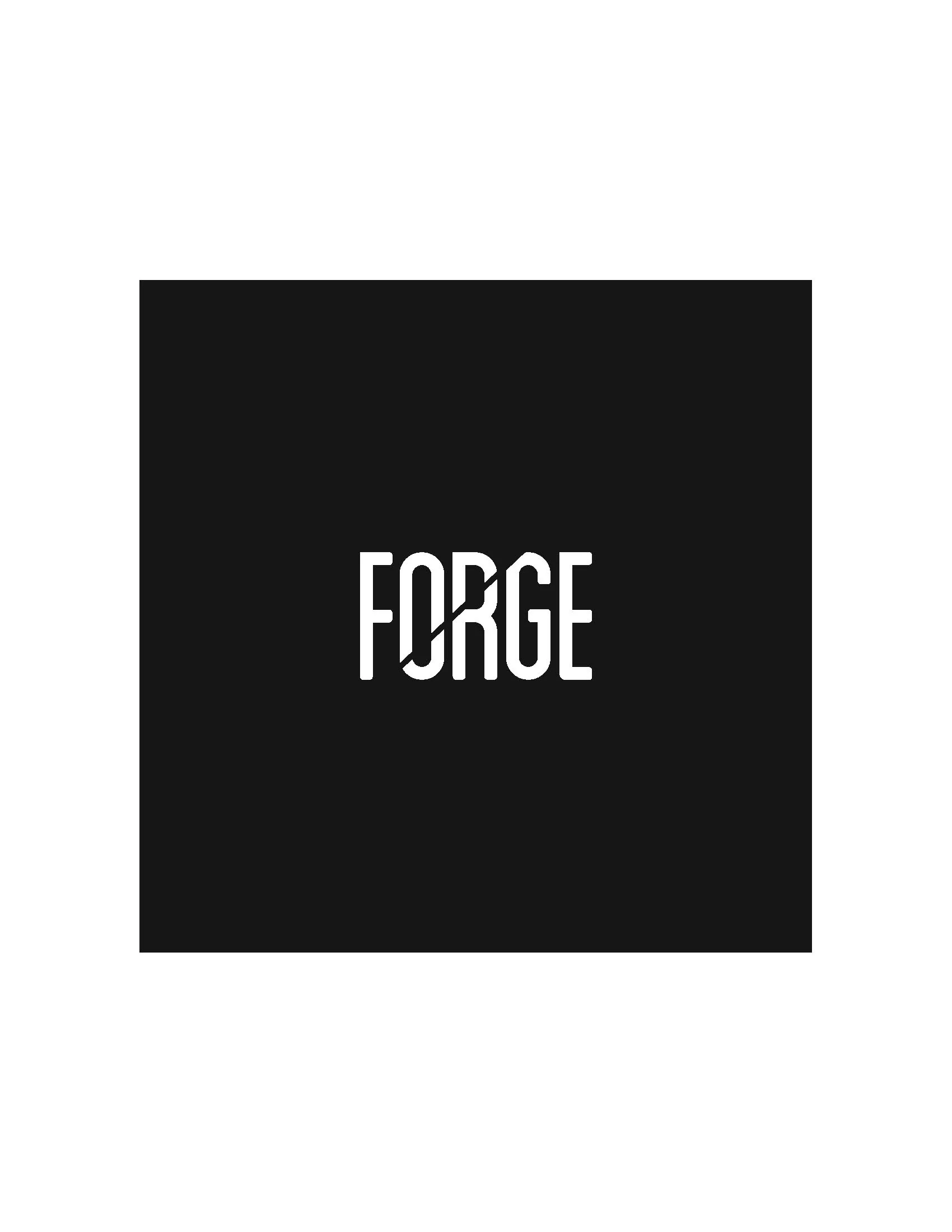 FORGE_Final_Page_3.jpg
