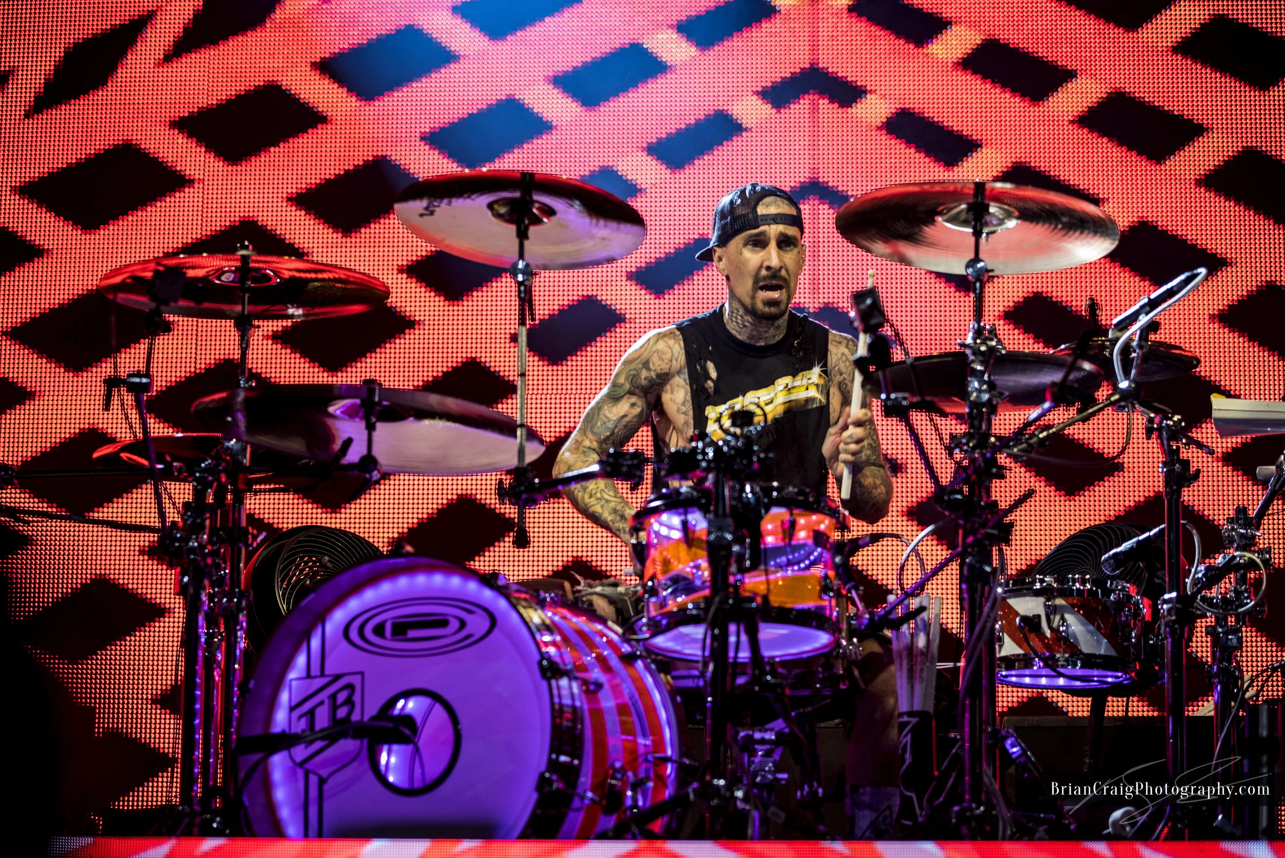 Blink 182 DTE Brian Craig Photography 2016-49.jpg
