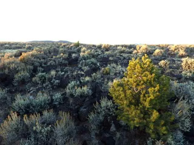 Land Listing (MLS# 92923)