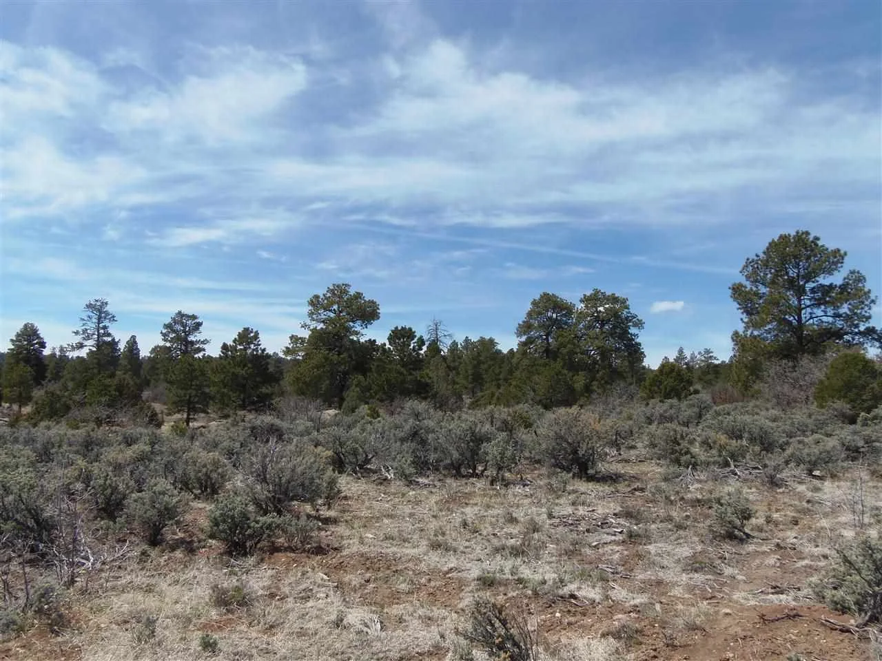 Land Listing (MLS#95487)