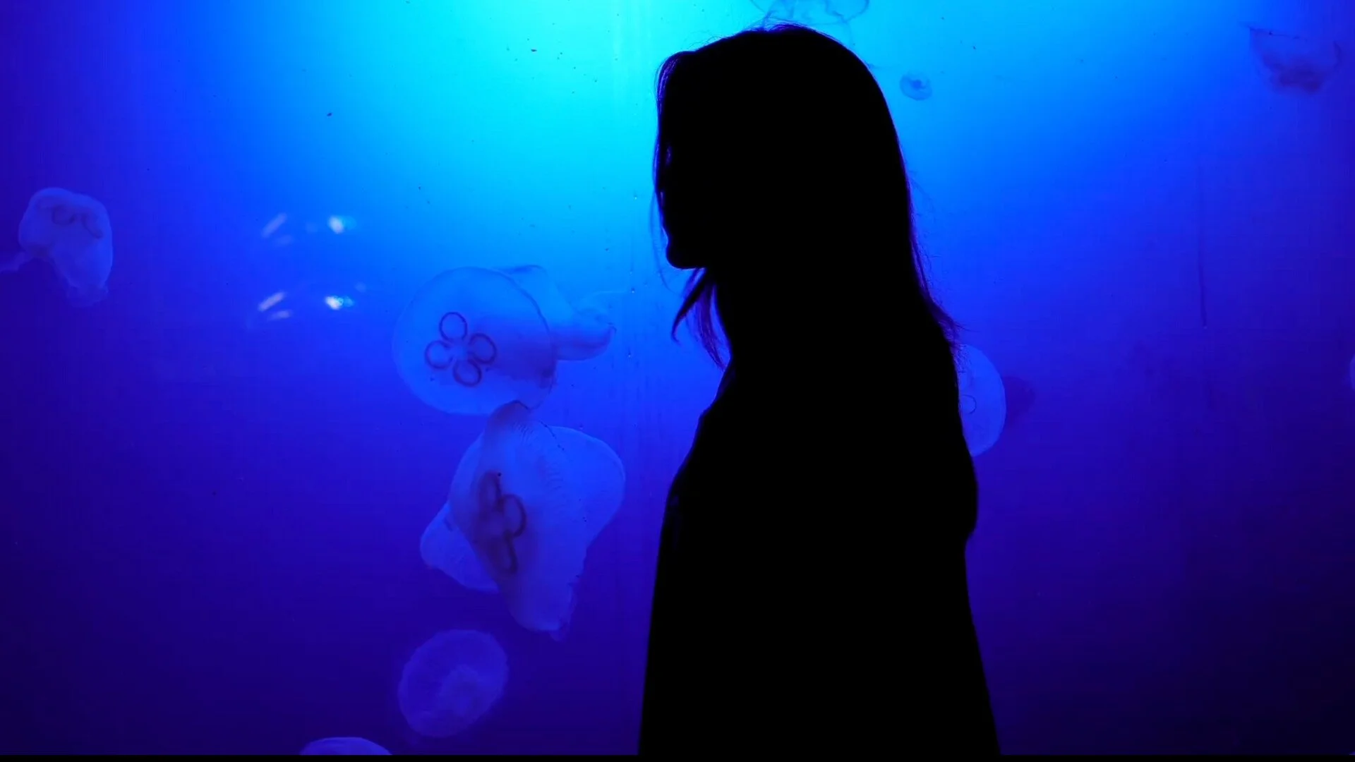 Blue Silence