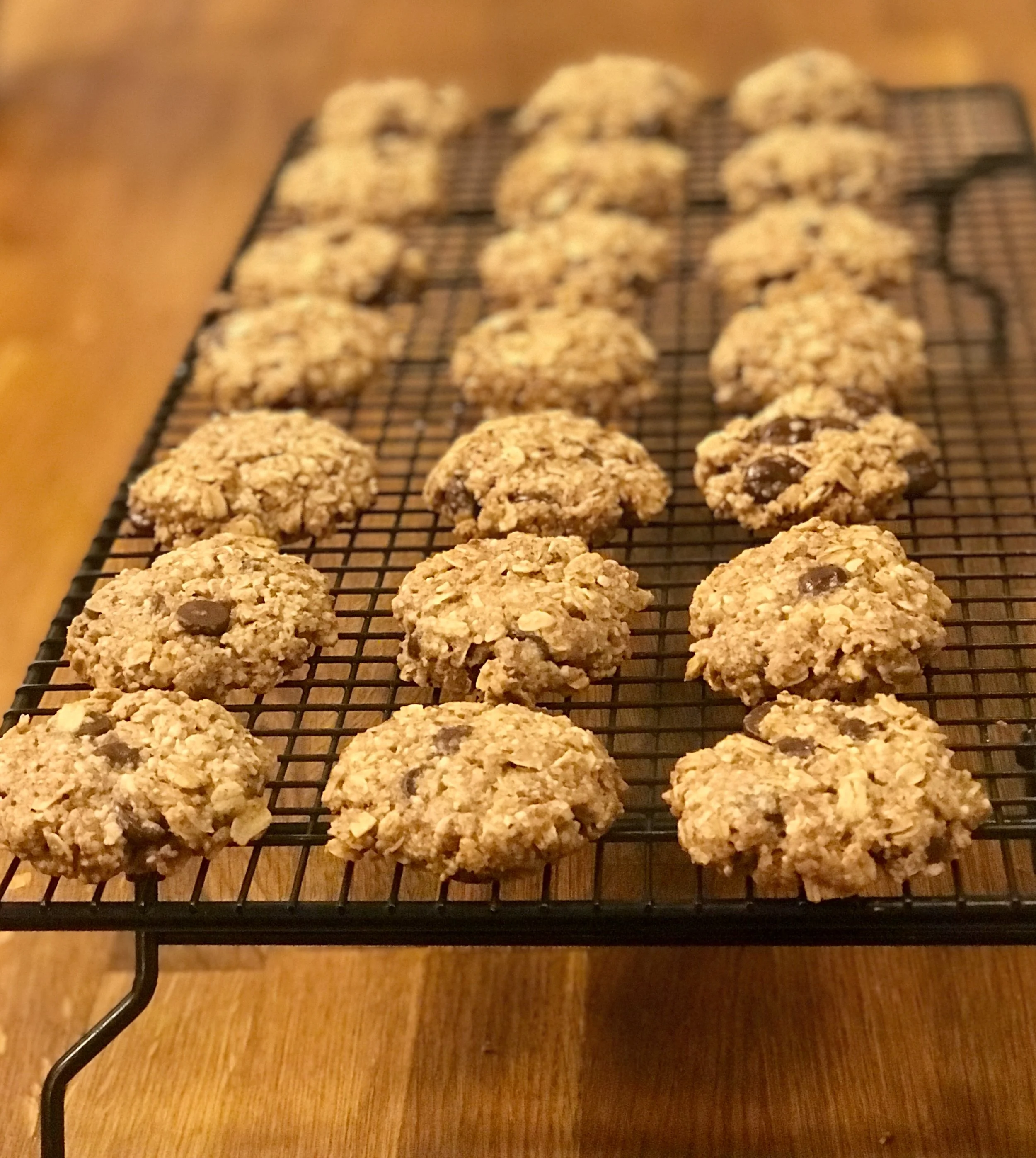 Vegan Oatmeal Chocolate Chip