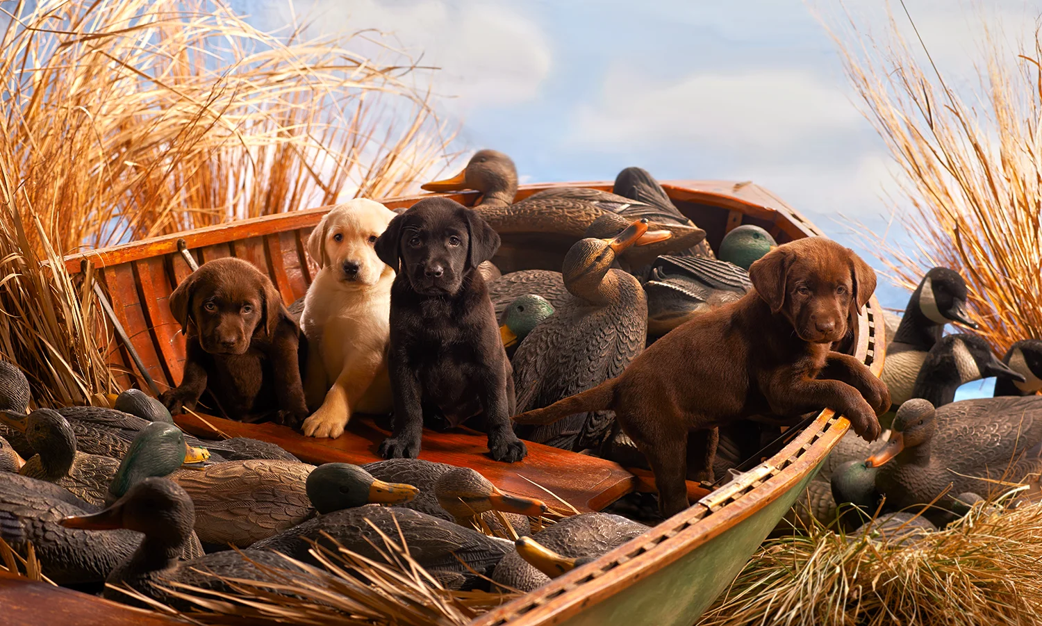 FullBoat_1500.jpg