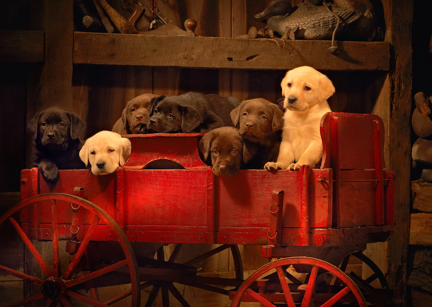 xxx_Master Red Wagon_1500.jpg