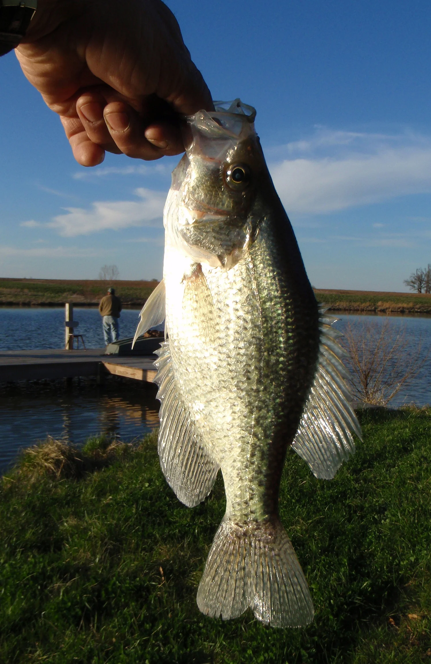 1 Good Crappie_1500.jpg