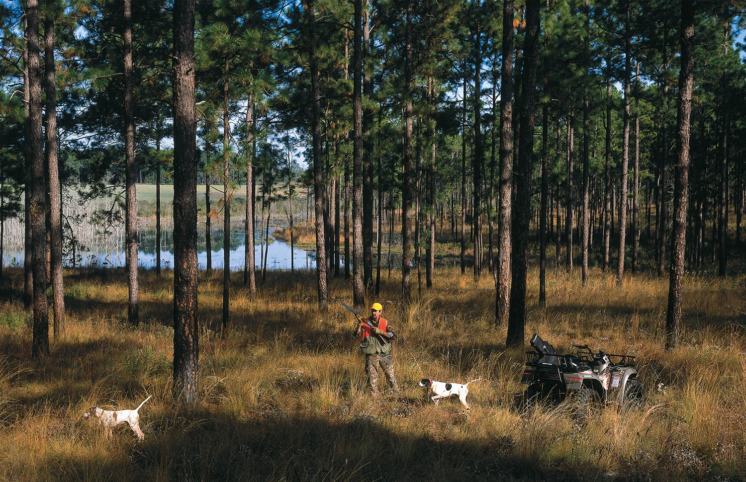 Quail hunting_1500.jpg