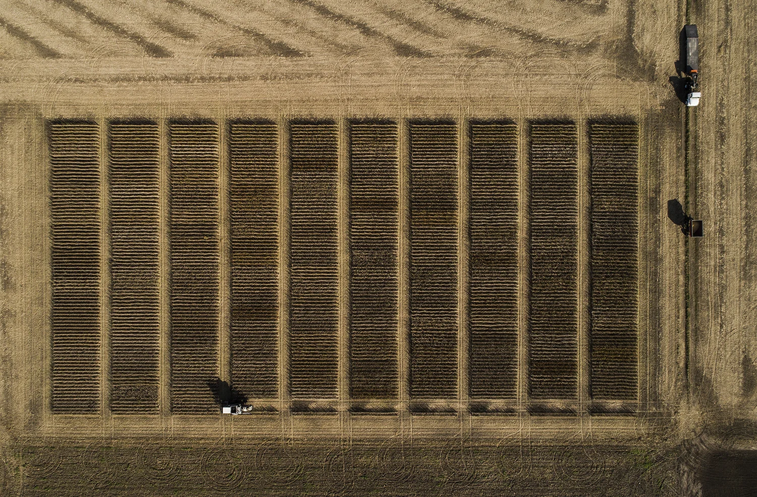 1500px_sharp_ariel farmer_DJI_0033_pk.jpg