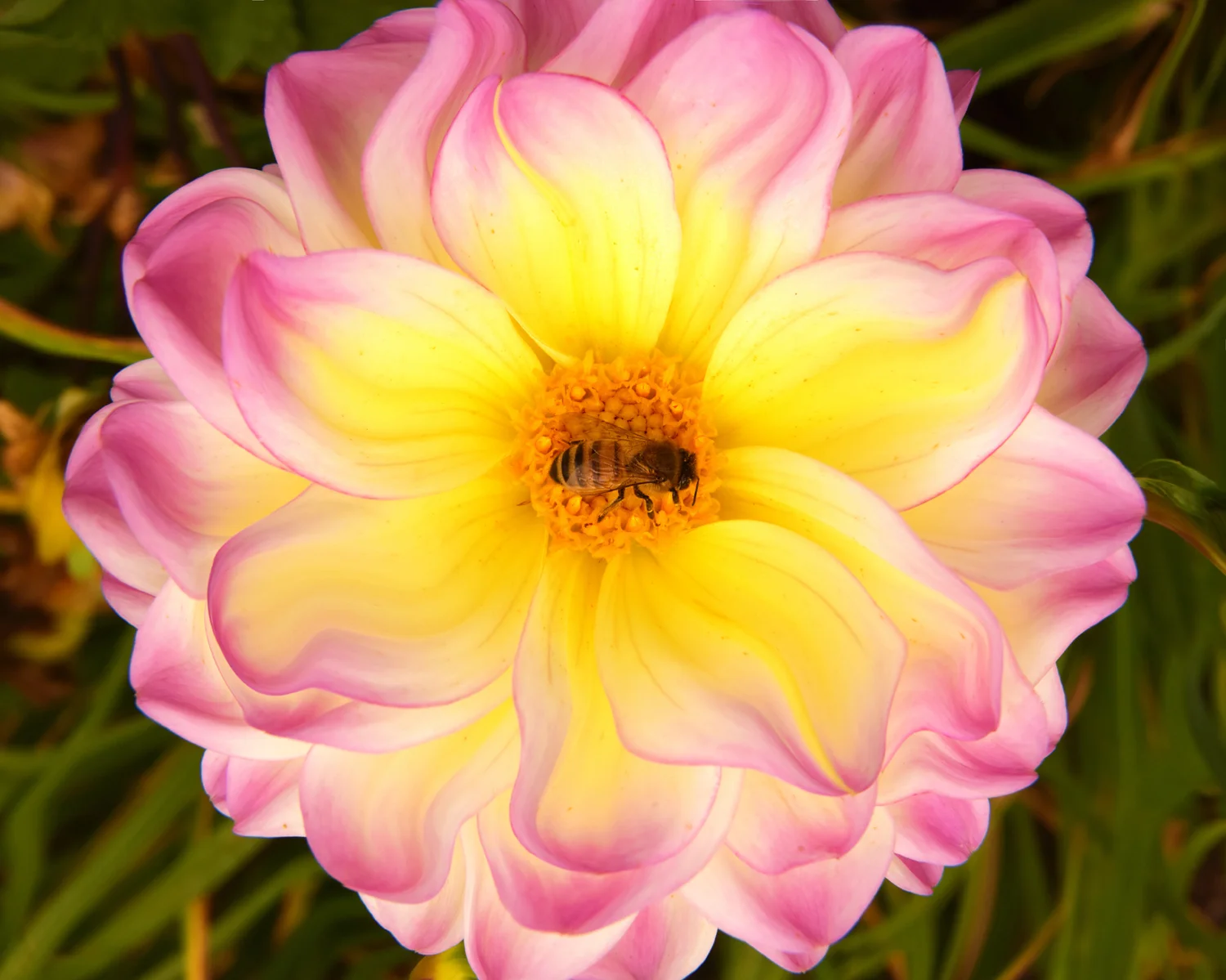 39_Keeven Photography.jpg