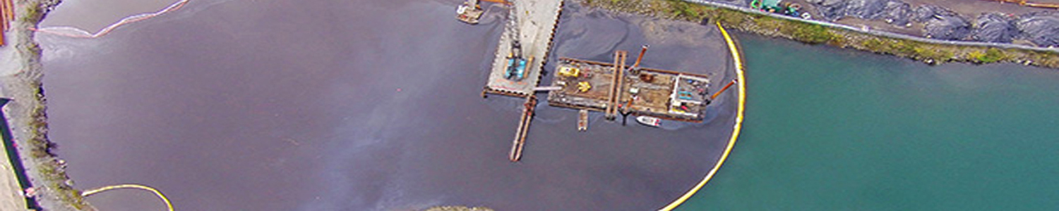 Pollution Banner.jpg