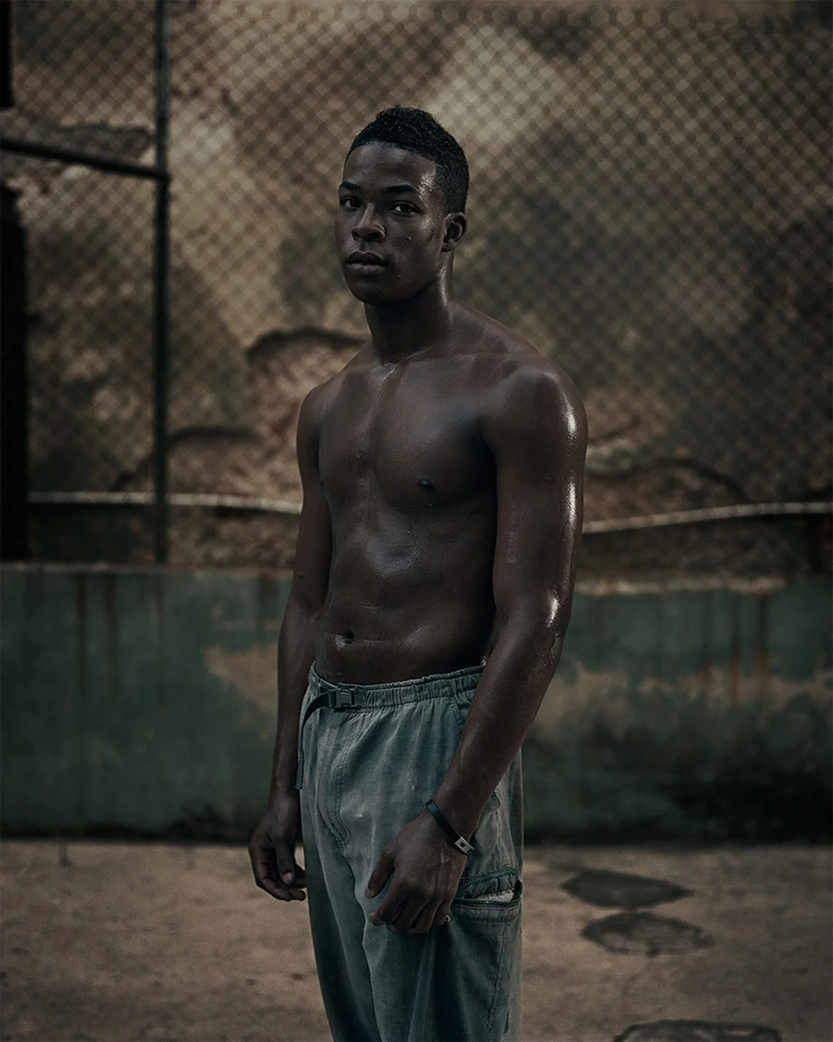 JOSEPH KELLY | HAVANNA BOXER