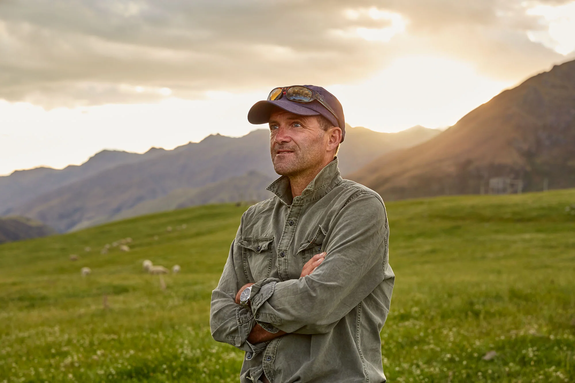 Beef+Lamb_11.17_1804-Alphaburn Station_Wanaka.jpg