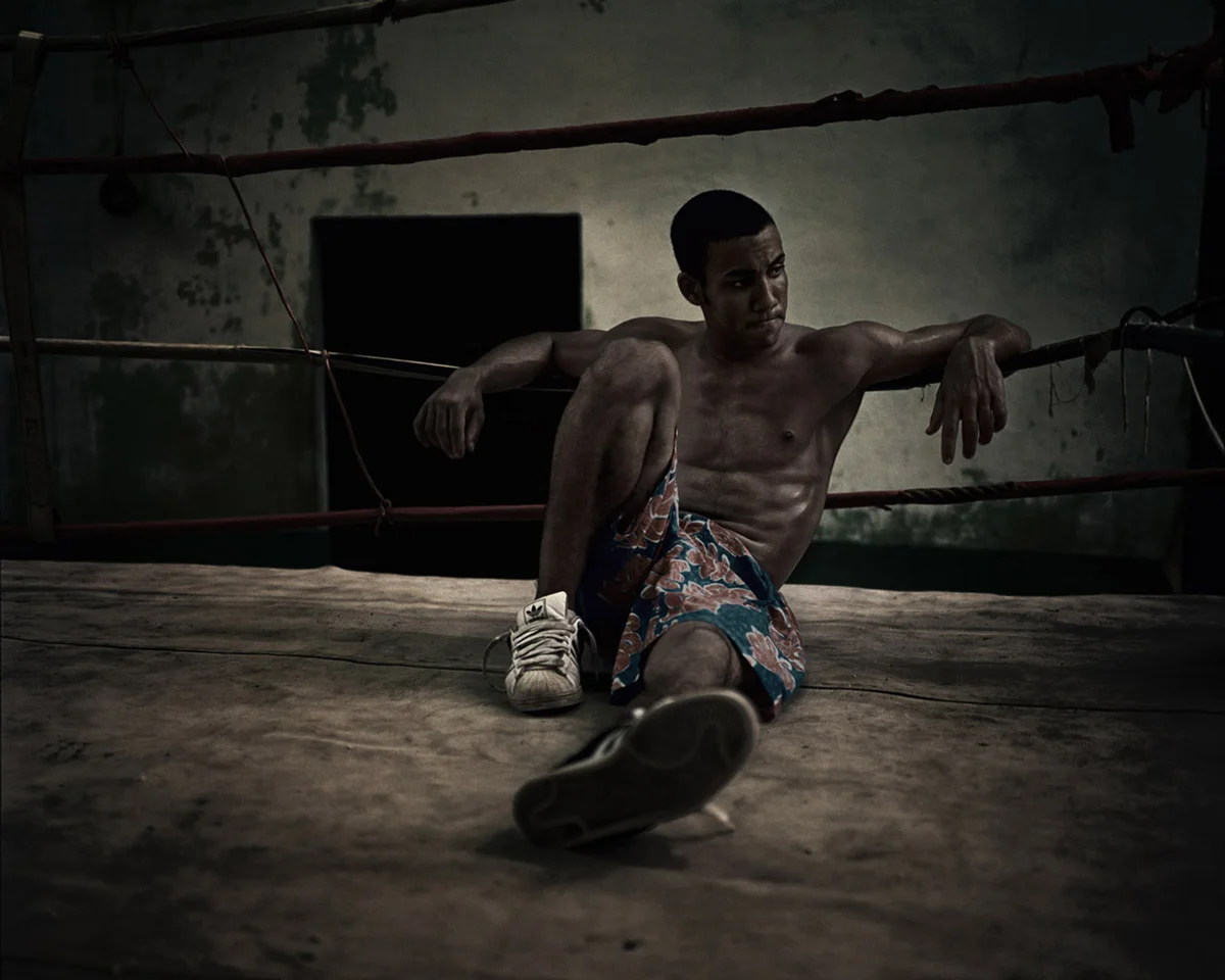 WebSave_Havana-Boxer-04.jpg
