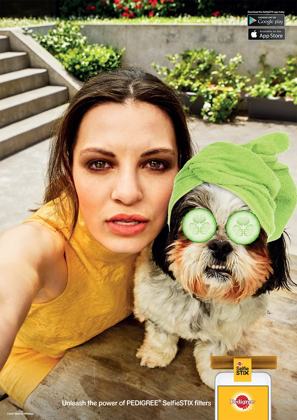 Charles Howells - Pedigree